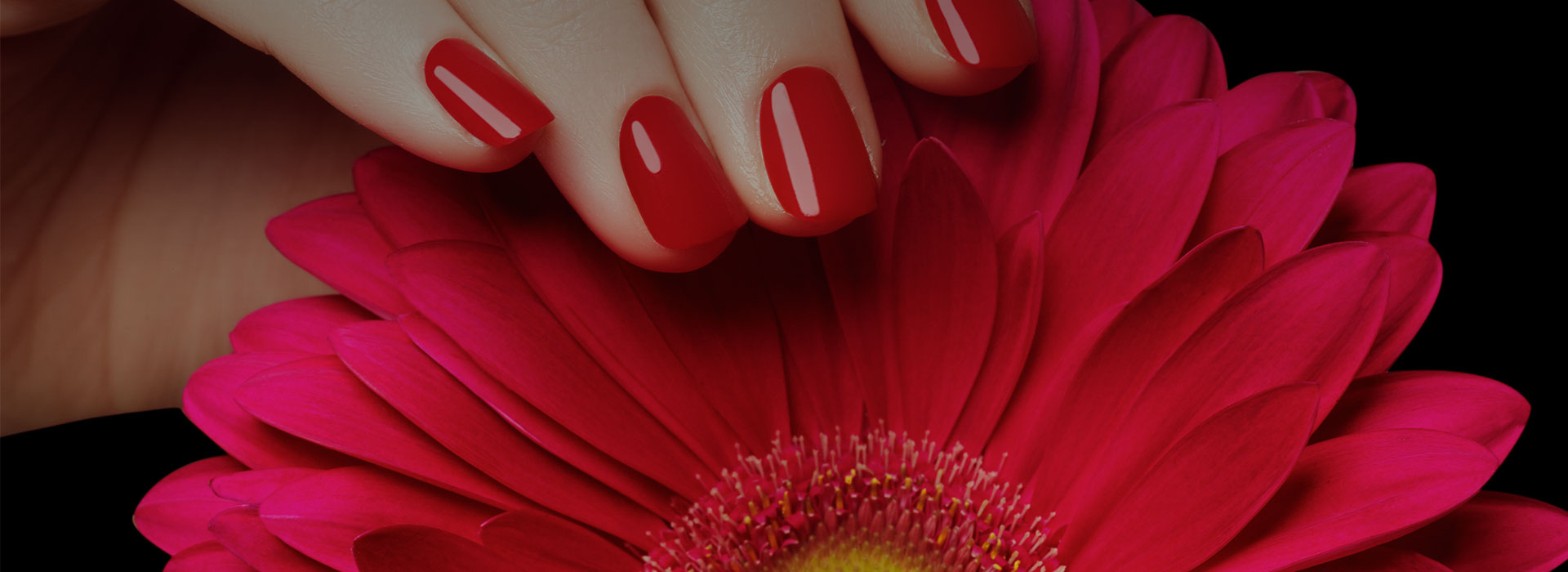 Best Nail Salons In Hyderabad l LBB